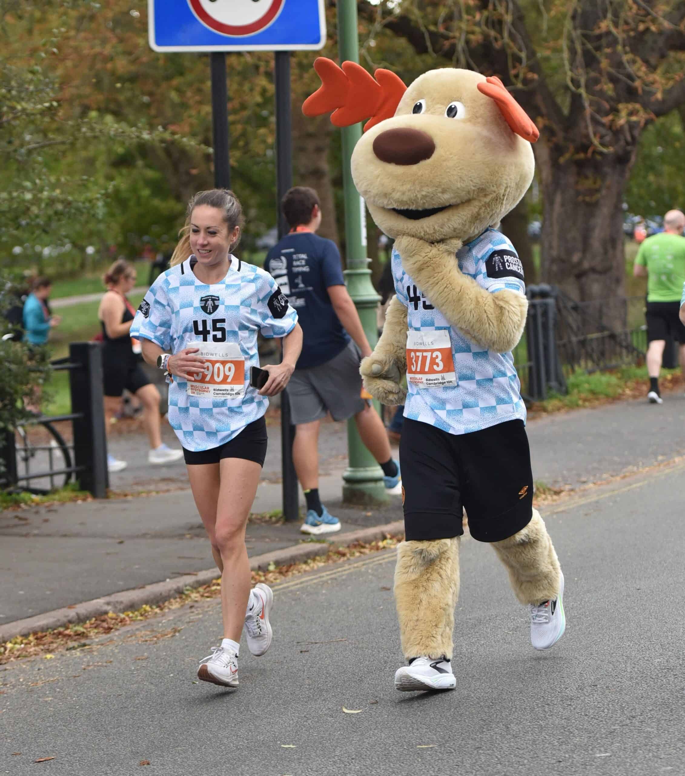 Fit Again Sports Therapy team member completing the Cambridge 10K as the CUFC mascot during a charity event.